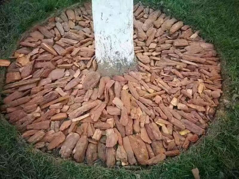 兴森农业科技